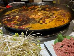 红汤锅底-安胖老火锅(两路口店)