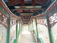-迎泽公园
