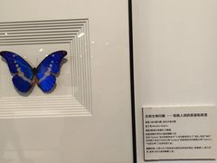 -上海昆虫博物馆