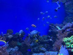 -成都浩海立方海洋公园