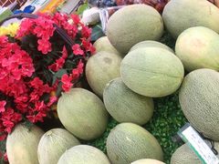 -百果园PAGODA(法华镇路店)