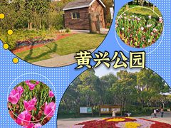 -黄兴公园