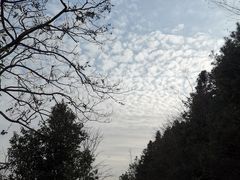 -东天目山风景区
