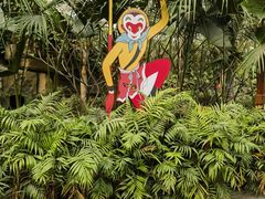 -南宫五洲植物乐园