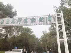 -秦皇岛野生动物园