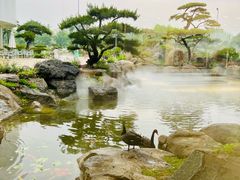 -罗红摄影艺术馆