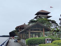 -大湾区中央湿地公园