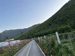 -金陵矩阵(聚宝山公园店)