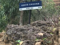 -三亚海棠湾南田温泉神龙谷