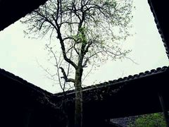 -内乡县衙博物馆