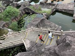 -蛇蟠岛