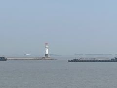 -上海滨江森林公园