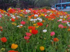 -阿里巴巴量贩KTV(海亮店)