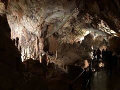 -波斯托伊纳溶洞