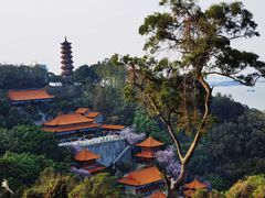 -南沙天后宫景区