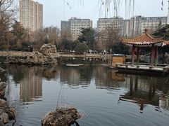 -西苑公园