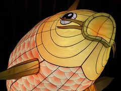 -肥福排档(星光店)