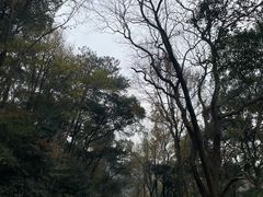 -岳麓山风景名胜区