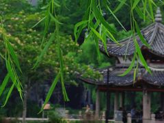 -慈城古县城景区