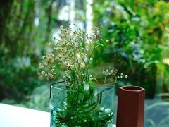 -春树下·树屋花房西餐厅(罍街AS1980店)