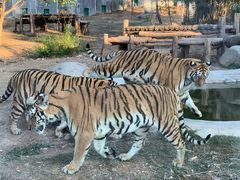-泉州海丝野生动物世界