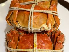 -新光酒家·河豚·海鲜·蟹料理(浦东店)