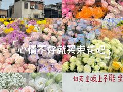 -溪岸路花鸟市场