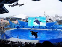 -上海海昌海洋公园