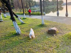 -飞来湖湿地公园