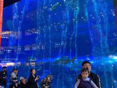 -成都浩海立方海洋公园