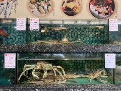-宝燕壹号(徐汇店)
