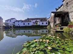 -东梓关景区村庄
