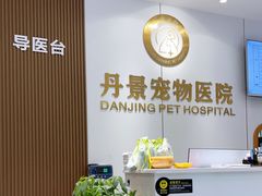 -丹景宠物医院·全科·老年病·牙科(武昌诊疗中心)