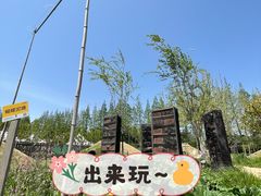 -前小桔亲子创意农场·草莓采摘·露营烧烤