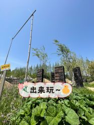 点击看大图 -前小桔亲子创意农场·草莓采摘·露营烧烤