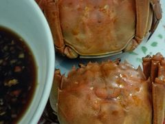 阳澄湖大闸蟹-喜洋洋蟹庄(阳澄湖店)