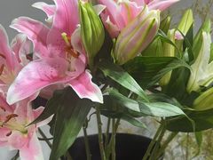 -何兮花店·气球派对鲜花店(马桥银春路万科城店)