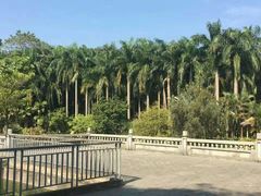 -滴水岩森林公园