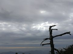 -罗田薄刀峰风景区