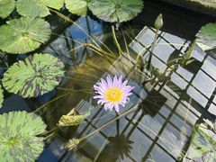 -国家植物园南园