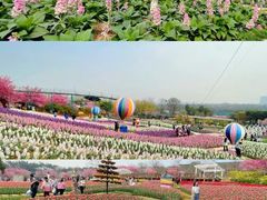 -白沙门生态公园