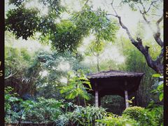 -深圳国际园林花卉博览园