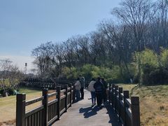 -羊山湖公园