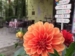 -仙芋传奇(黄山黎阳in巷店)