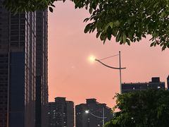 -四海公园(南山区)