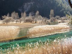 -九寨沟-树正沟