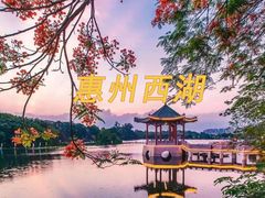 -盐洲岛