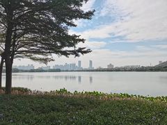 -顺峰山公园