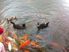 -月牙潭公园