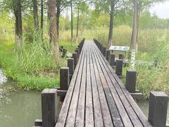 -沙家浜风景区